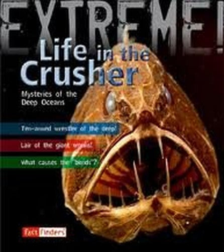 Life in the Crusher