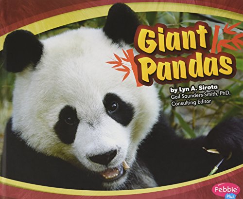 Giant Pandas