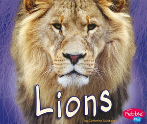 Lions