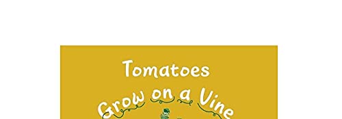 Tomatoes Grow on a Vine
