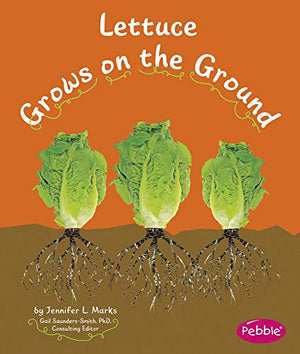 Lettuce Grows on the Ground