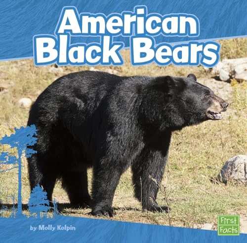 American Black Bears (Bears)