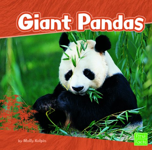 Giant Pandas