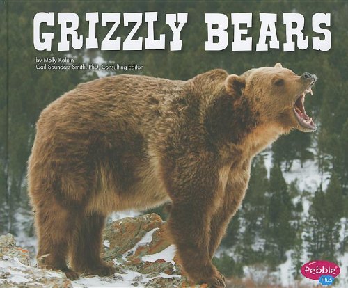 Grizzly Bears