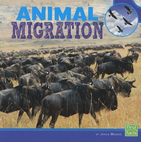 Animal Migration