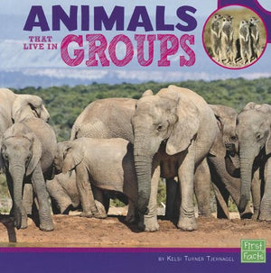 Animals That Live in Groups