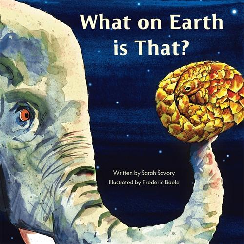 What on Earth is That?