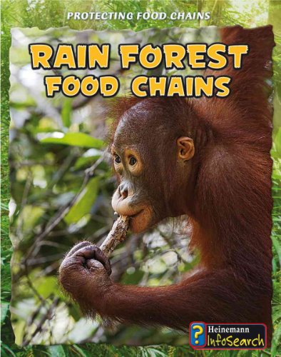 Protecting Food Chains Rain Forest Food Chains