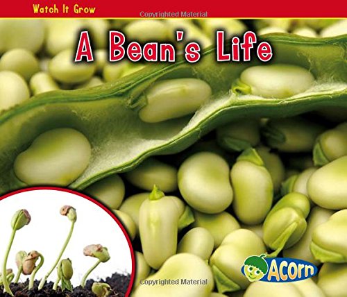 A Watch it Grow Beans Life