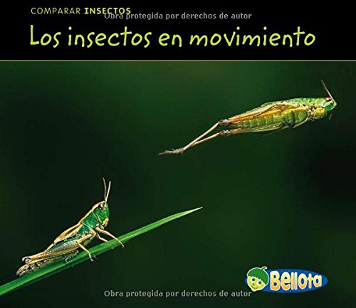 Los Insectos En Movimiento