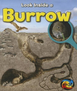 Burrow 