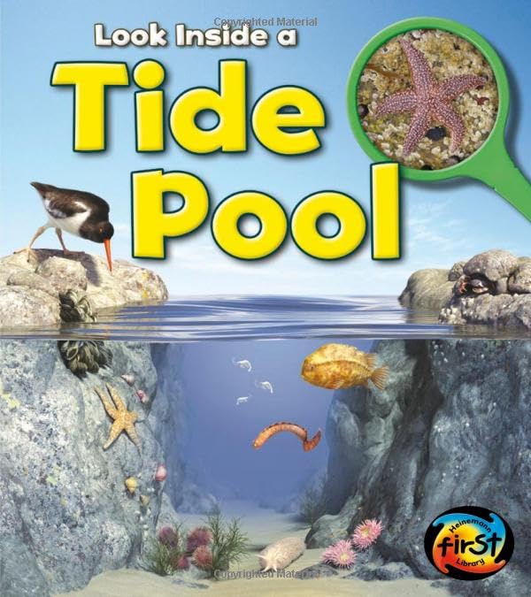 Tide Pool
