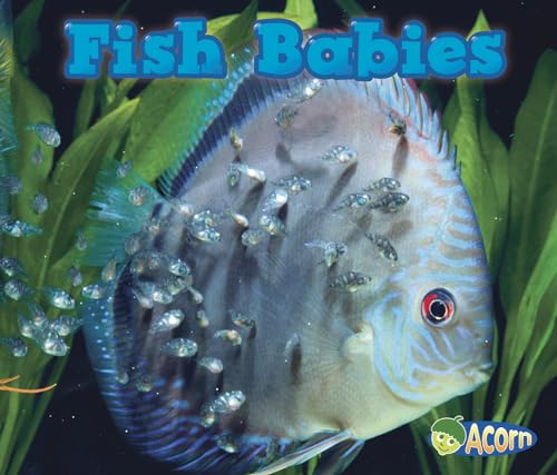 Animal Babies Fish Babies
