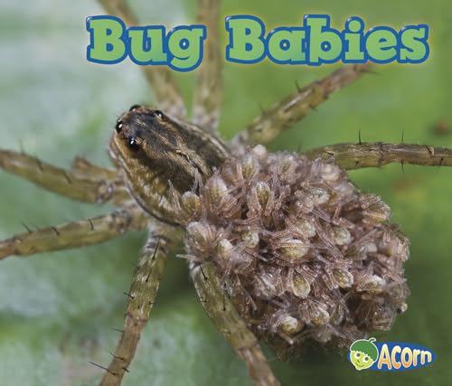 Animal Babies Bug Babies