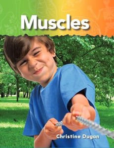 Muscles 