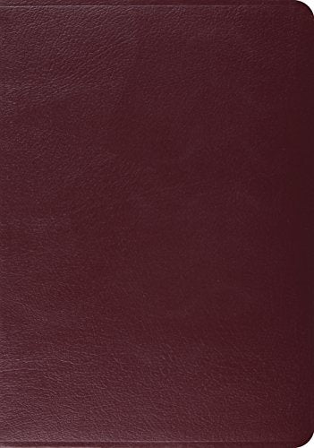Study Bible