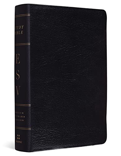 ESV Study Bible, Personal Size