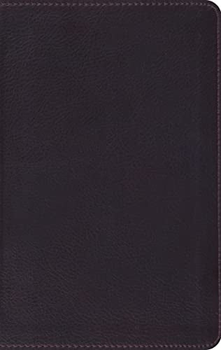ESV Large Print Compact Bible