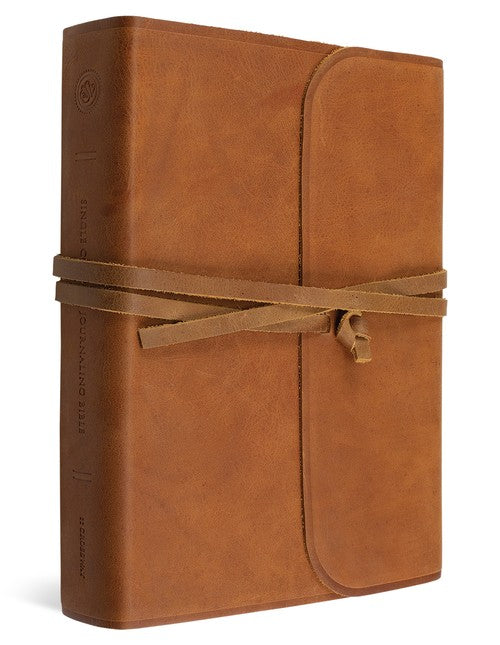 ESV Single Column Journaling Bible, Large Print