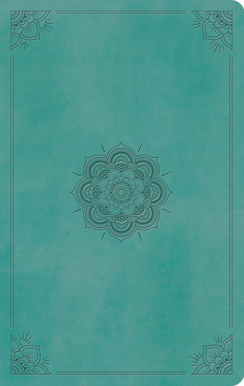 ESV Large Print Value Thinline Bible