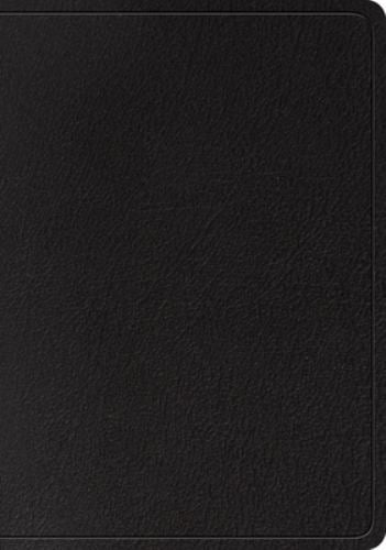 ESV Large Print Wide Margin Bible