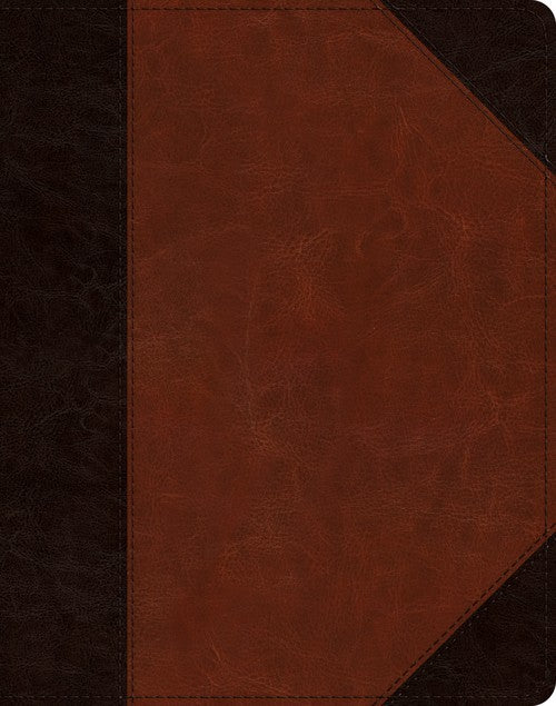 ESV Single Column Journaling Bible