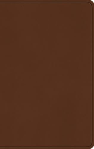 ESV Large Print Value Thinline Bible