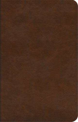 ESV Concise Study Bible
