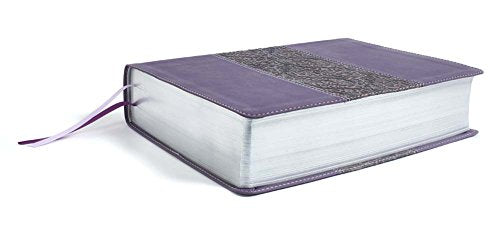 HCSB Study Bible, Mulberry Leathertouch