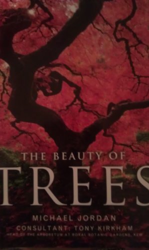 The Beauty Of Trees