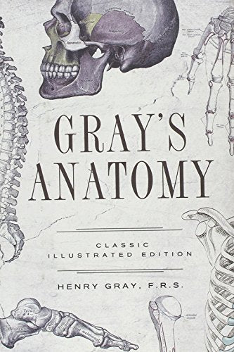 Gray's Anatomy
