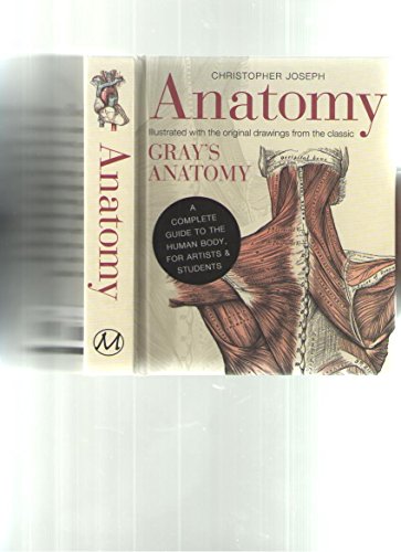 Anatomy