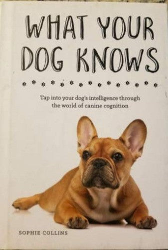 What Your Dog Knows
