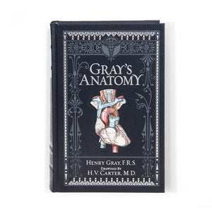 Gray's Anatomy