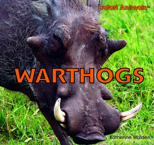 Warthogs