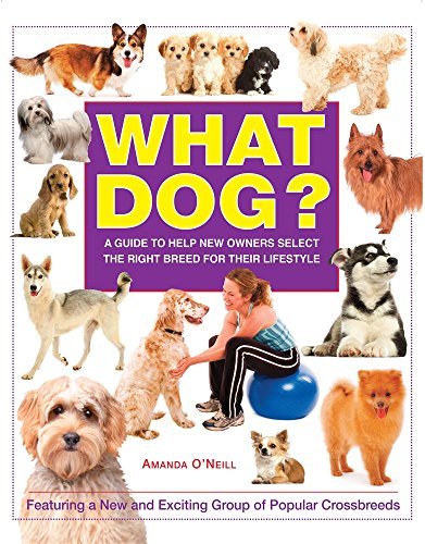 What Dog?