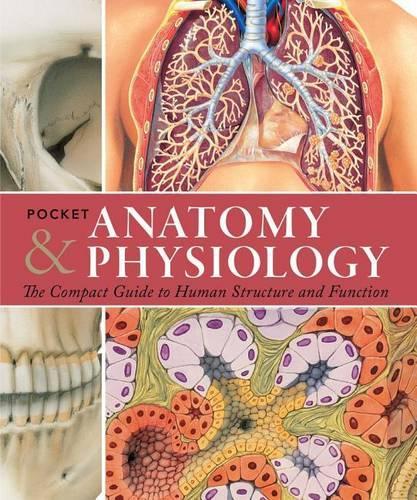 Pocket Anatomy & Physiology