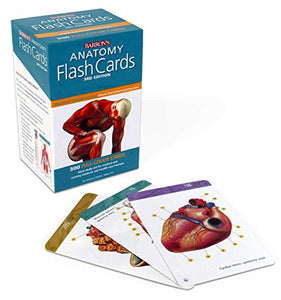 Anatomy Flash Cards 