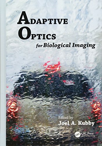 Adaptive Optics for Biological Imaging