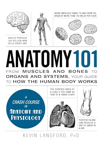 Anatomy 101