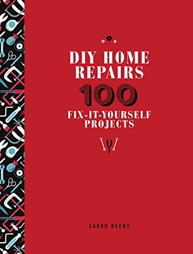 Sarah Beeny DIY Home Repairs