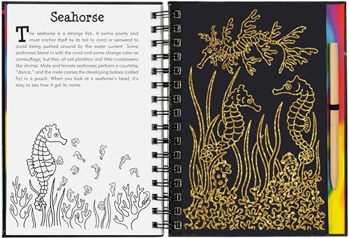 Scratch & Sketch Coral Reefs