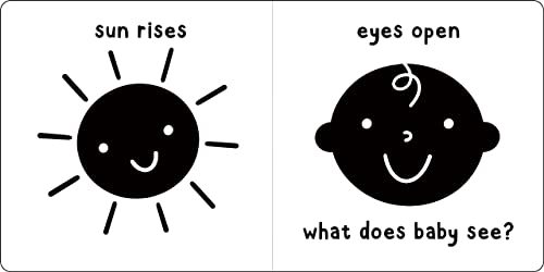 What Does Baby See? a High-Contrast Board Book