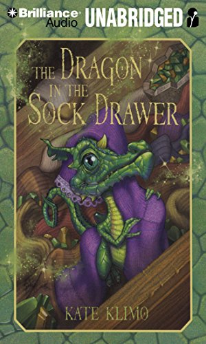 The Dragon in the Sock Drawer