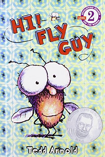Hi! Fly Guy