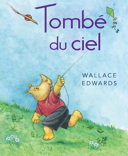 Tombe Du Ciel