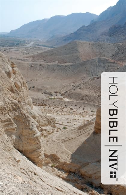 NIV Thinline Value Hardback Bible