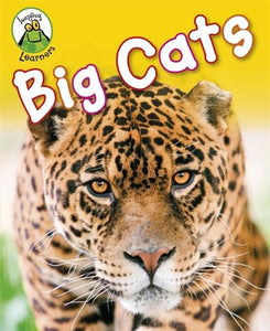 Leapfrog Learners: Big Cats 