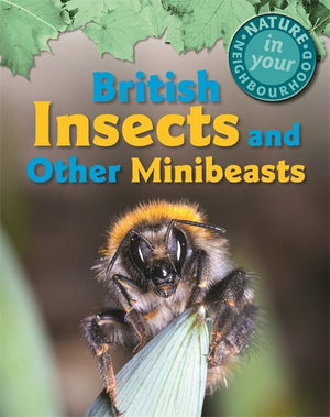 British Insects and other Minibeasts