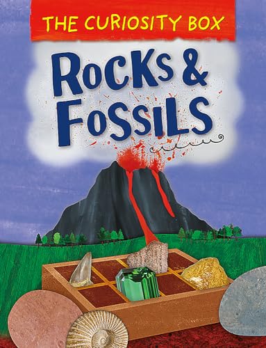 The Curiosity Box: Rocks and Fossils